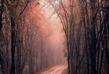 华体会:转会市场统计了本赛季缺席本次国家队比赛伤病最贵阵容.