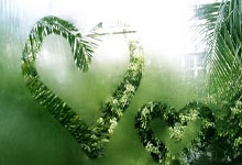 英超球员身价下跌榜:努涅斯、霍伊伦、B席跌1500万欧最多.